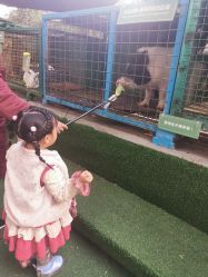 -可可天空农场(中大店)