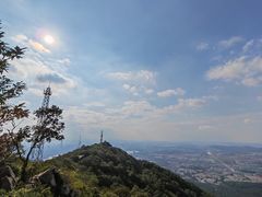 -紫金山山顶公园