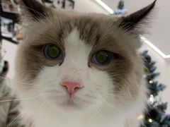 -comecome来吧宠物(奥克斯中心店)