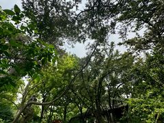 -上海方塔园
