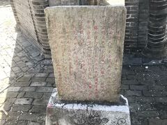 -上海佘山国家森林公园天马山园