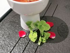 -富淳饭店(陆家嘴保利广场店)