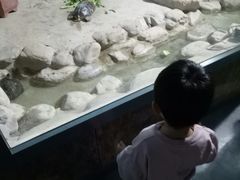 -太原动物园