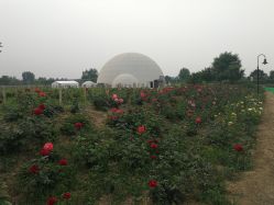 点击看大图 -圣露庄园·草坪婚礼·宴会厅·会议