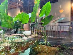 -西双版纳洲际度假酒店-曼霖轩中餐厅