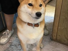 -小时光咖啡馆(北锣鼓巷店)