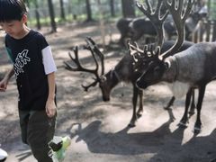 -北极村旅游风景区