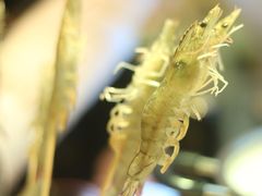 -甘尼仕印度餐厅爵士酒吧(阳春巷店)