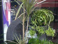 -顶巧鸡汤馄饨(虹口总店)