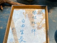 -自由生长植物工作室(深港花卉中心店)
