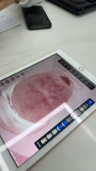 -韩芙莱芳疗spa健康管理
