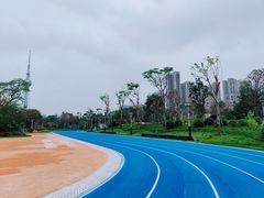 -文华公园(禅城区)