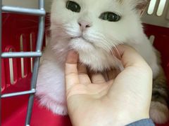 -美联众合动物医院·24h转诊中心