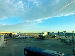 -达拉斯 沃斯堡国际机场