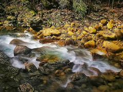 -祁门牯牛降观音堂风景区