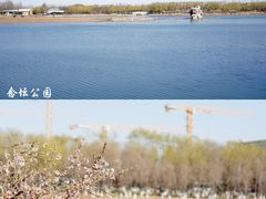 -大兴滨河森林公园