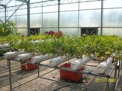 北京观光南瓜园&nbsp;(41)-观光南瓜园