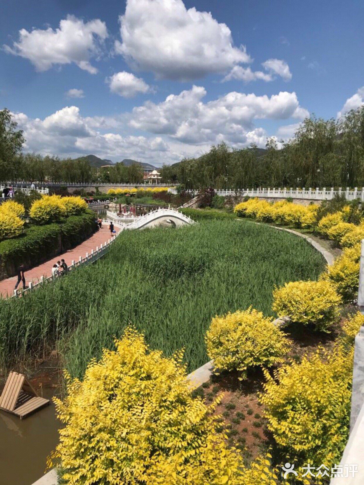 六一必打卡处[调皮]