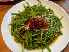 -菌自由丨野生菌火锅特色庭院餐厅(丽江古城店)