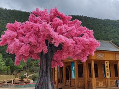 -玉龙雪山蓝月谷