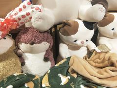 -九木杂物社(恒隆广场店)