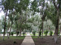 -长白岛森林公园