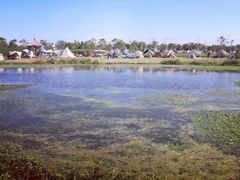 -春花秋色城市公园