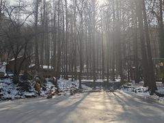 -波尔登森林公园