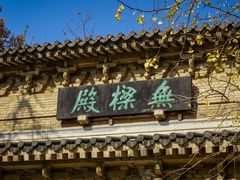 -灵谷景区