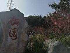 -重庆彩云湖湿地公园