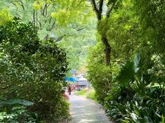 -南溪山景区