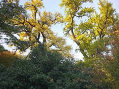 -青岛崂山太清宫