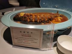 -阿五黄河大鲤鱼(英协路店)
