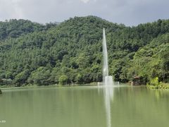 -广州白江湖森林公园