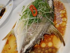 -新兴家喻酒家·羊城名宴(昌岗店)