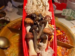 -小龙坎火锅(世纪城店)