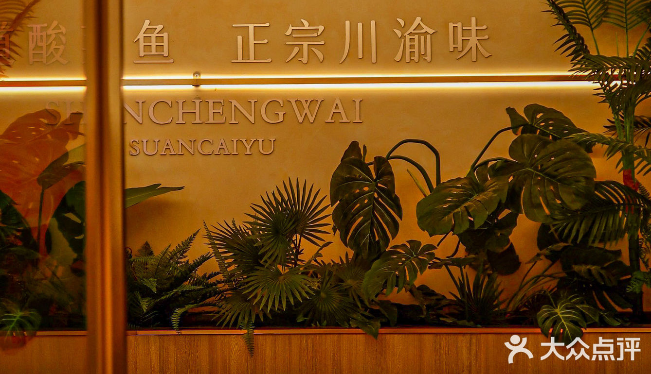 成都满城的桂花香，也不及山城外的桂花酸菜鱼！