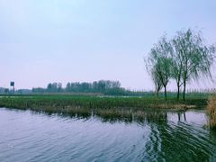 -白洋淀景区