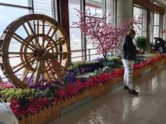 -丽江三义国际机场