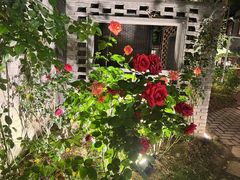 -大妙火锅·非物质文化遗产(东湖公园店)