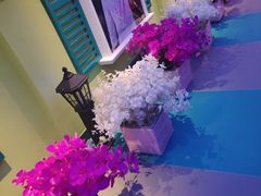 -巴特餐饮6加1音乐餐吧·新疆菜