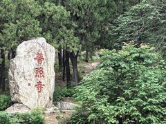 -泰山风景名胜区-普照寺