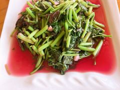-领鲜土菜馆