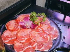 -杨记齐齐哈尔烤肉(五莲路店)