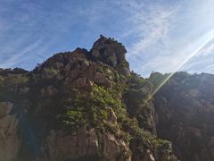 -大岭沟猕猴桃谷风景区