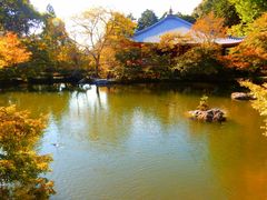 -醍醐寺