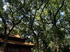 -普陀山风景名胜区-法雨禅寺