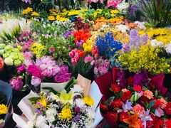 -朝来春花卉市场