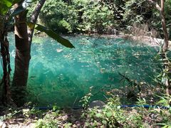 -碧水峡漂流