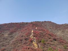 -水峪民俗村